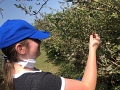 Kids_BlaseFarm_7-2020 (6)
